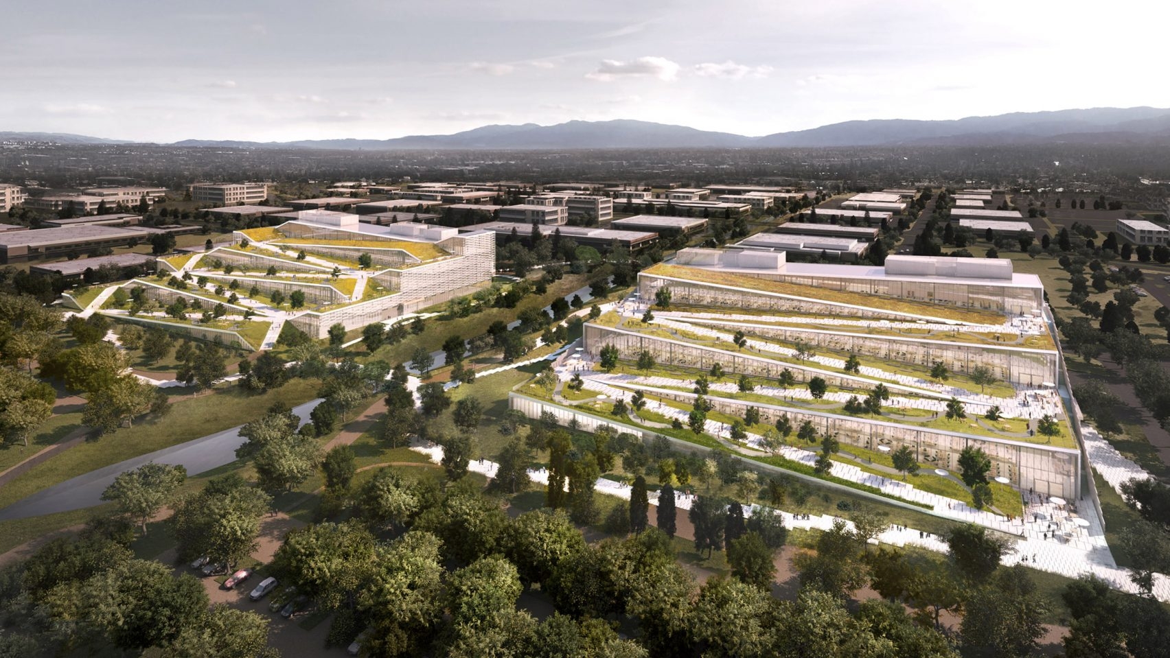 Google Caribbean Campus